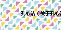 孔心潔(關于孔心潔介紹)