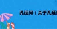 孔延河(關于孔延河介紹)