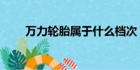 萬力輪胎屬于什么檔次(萬力輪胎)