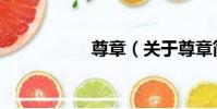 尊章(關于尊章簡介)