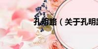 孔明路(關于孔明路介紹)