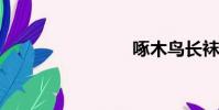 啄木鳥長襪