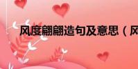 風度翩翩造句及意思(風度翩翩造句)