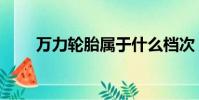 萬力輪胎屬于什么檔次(萬力輪胎)