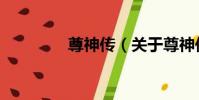 尊神傳(關于尊神傳簡介)