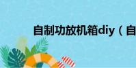 自制功放機箱diy(自制功放機)