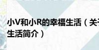 小V和小R的幸福生活(關于小V和小R的幸福生活簡介)