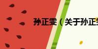 孫正雯(關于孫正雯介紹)