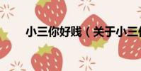 小三你好賤(關于小三你好賤簡介)