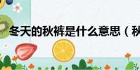 冬天的秋褲是什么意思(秋褲是什么意思)