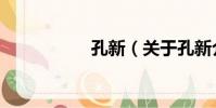 孔新(關于孔新介紹)