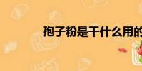 孢子粉是干什么用的(袍子)