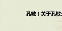 孔敏(關于孔敏介紹)