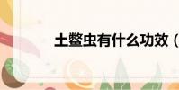 土鱉蟲有什么功效(土鱉子)