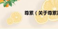 尊累(關于尊累簡介)