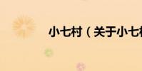 小七村(關于小七村簡介)