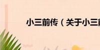 小三前傳(關于小三前傳簡介)