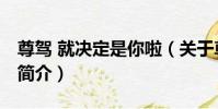 尊駕 就決定是你啦(關于尊駕 就決定是你啦簡介)