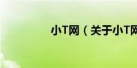 小T網(關于小T網簡介)
