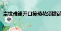 塵世難逢開口笑菊花須插滿頭歸是什么節日