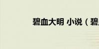 碧血大明 小說(碧血大明)