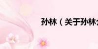 孫林(關于孫林介紹)