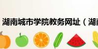 湖南城市學院教務網址(湖南城市學院教務)