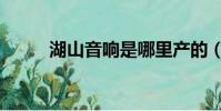 湖山音響是哪里產的(湖山音箱)