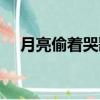 月亮偷著哭歌詞含義（月亮偷著哭歌詞）