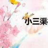 小三渠村（關于小三渠村簡介）