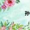 孫鈴（關于孫鈴介紹）