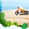 小三撥村（關于小三撥村簡介）