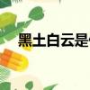 黑土白云是什么時候的小品（黑土白云）