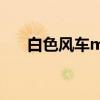 白色風車mv發布時間（白色風車mv）