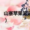 山寨蘋果筆記本的主板型號（山寨蘋果筆記本）