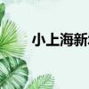 小上海新城（關于小上海新城簡介）