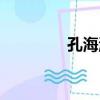 孔海濤（關于孔海濤介紹）