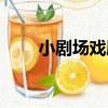 小劇場戲劇（關于小劇場戲劇簡介）