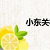 小東關村（關于小東關村簡介）
