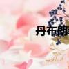 丹布朗新書知乎（丹布朗新書）