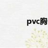 pvc胸卡制作視頻（pvc胸卡）