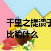 千里之提潰于蟻巢這個成語是什么意思常用來比喻什么