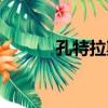 孔特拉斯（關于孔特拉斯介紹）