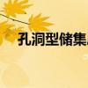 孔洞型儲集層（關于孔洞型儲集層介紹）