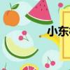 小東村（關于小東村簡介）
