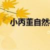 小丙董自然村（關于小丙董自然村簡介）