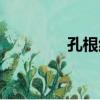 孔根紅（關于孔根紅介紹）