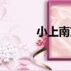 小上南京（關于小上南京簡介）