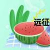 遠征ol端游（遠征ol寵物）