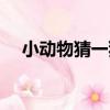 小動物猜一猜（關于小動物猜一猜簡介）
